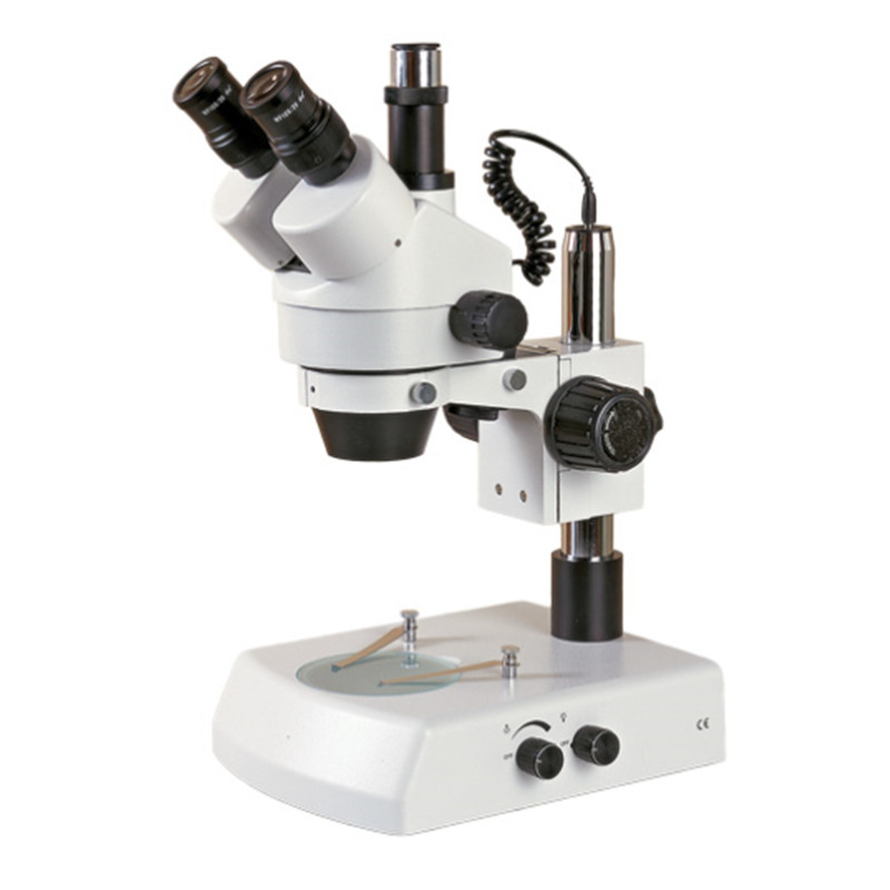 上下光源三目连续变倍体视显微镜
