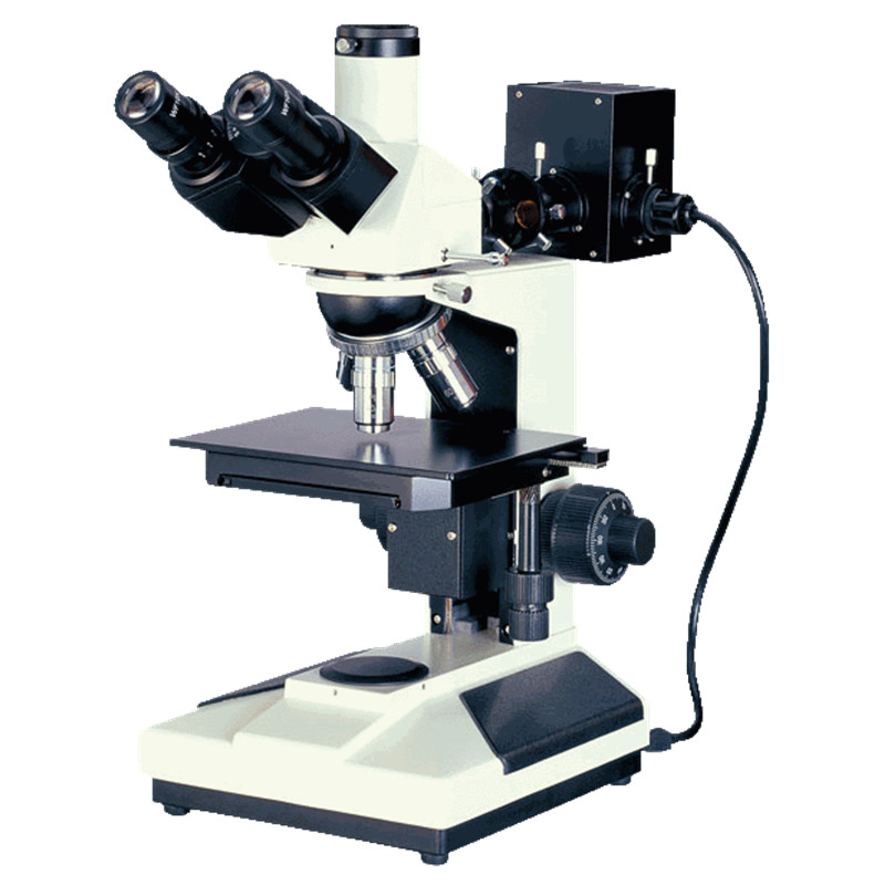 三目正置金相显微镜